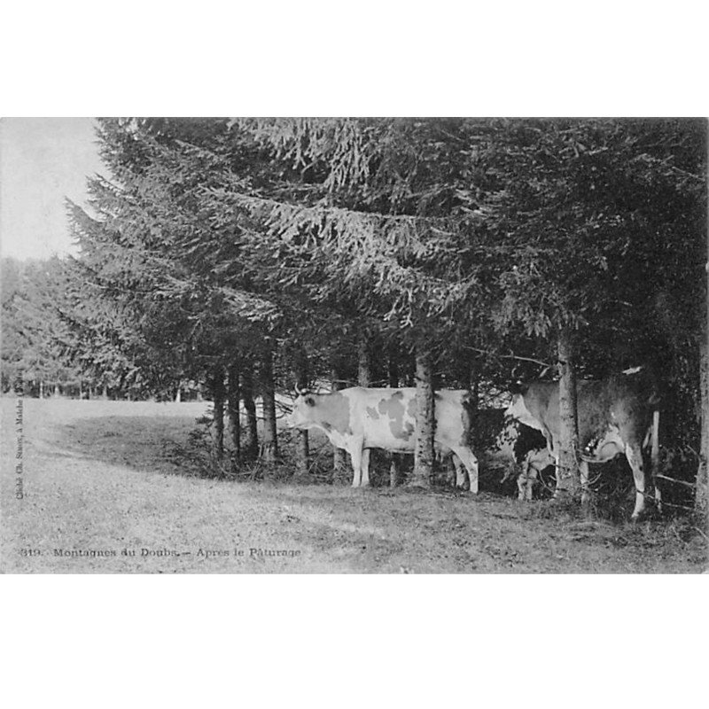 Montagnes du Doubs - Après le Pâturage - très bon état