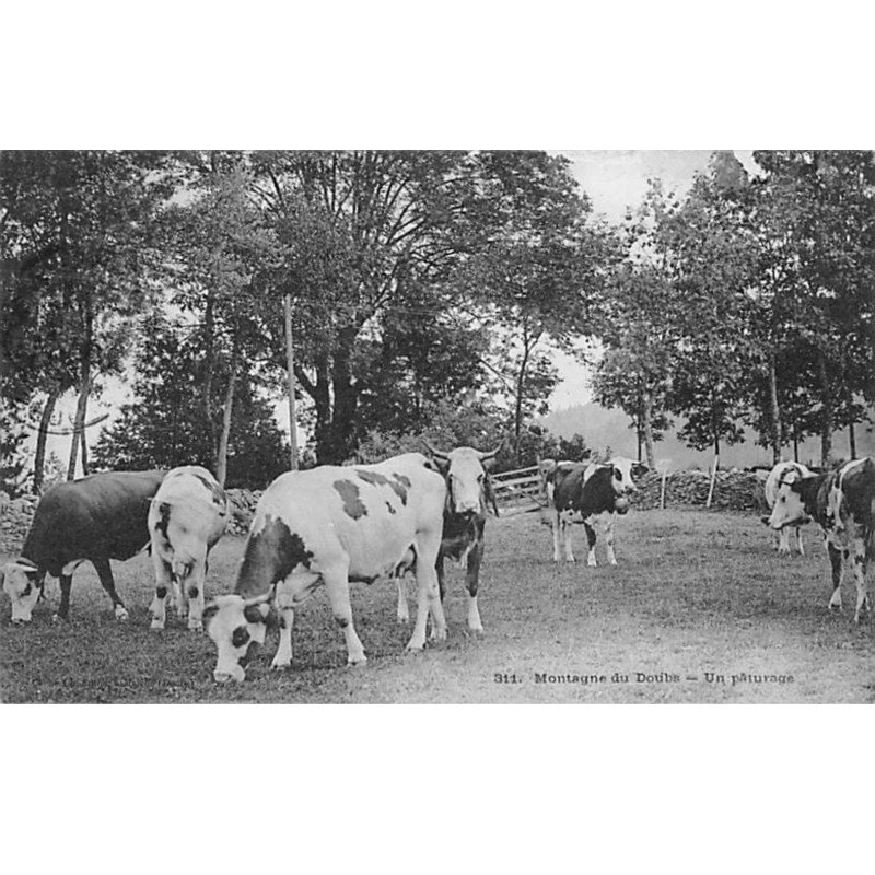 Montagnes du Doubs - Un Pâturage - très bon état
