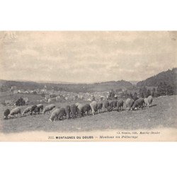 Montagnes du Doubs - Moutons au Pâturage - très bon état