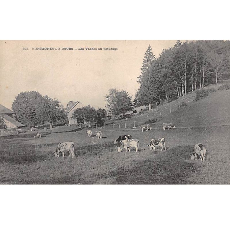 Montagnes du Doubs - Les Vaches au Pâturage - très bon état