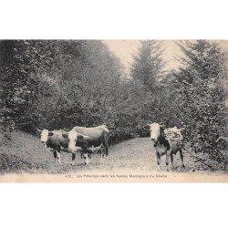 Un Pâturage dans les hautes Montagnes du Doubs - très bon état