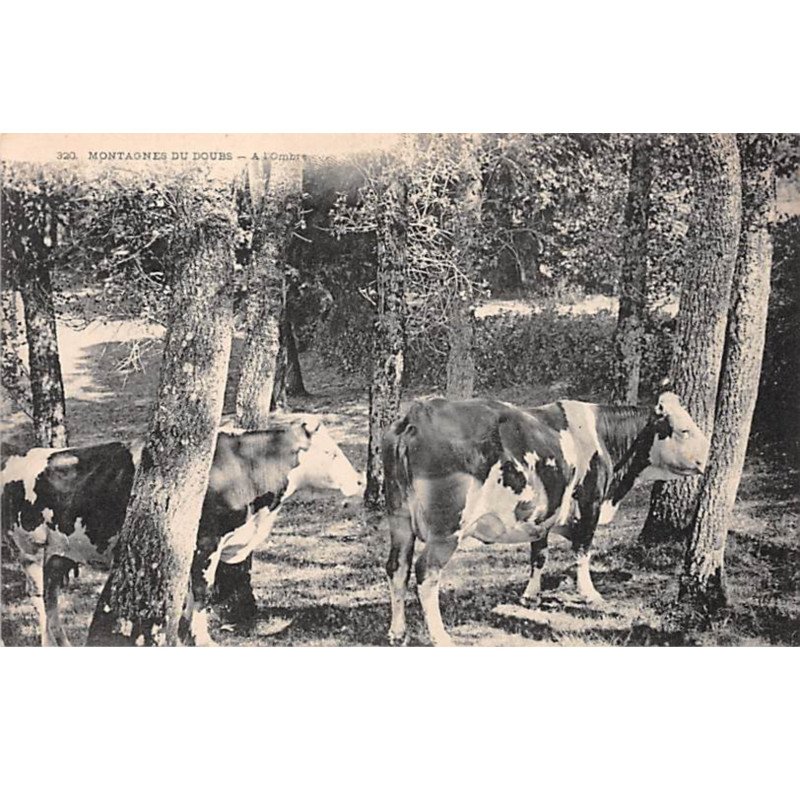 Montagnes du Doubs - A l'Ombre - très bon état