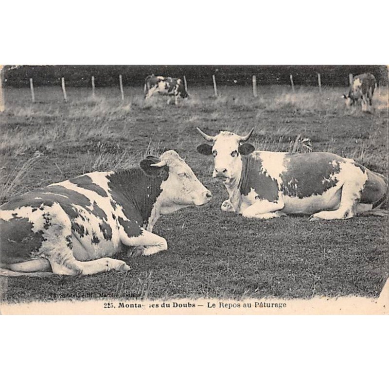 Montagnes du Doubs - Le Repos au Pâturage - très bon état
