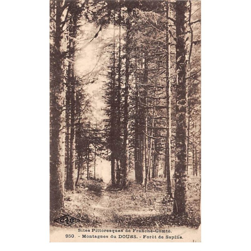 Montagnes du Doubs - Forêt de Sapins - très bon état