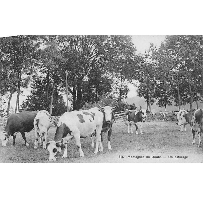 Montagnes du Doubs - Un Pâturage - très bon état