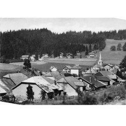 LES HOPITAUX NEUFS - Vue générale et les Villas - très bon état