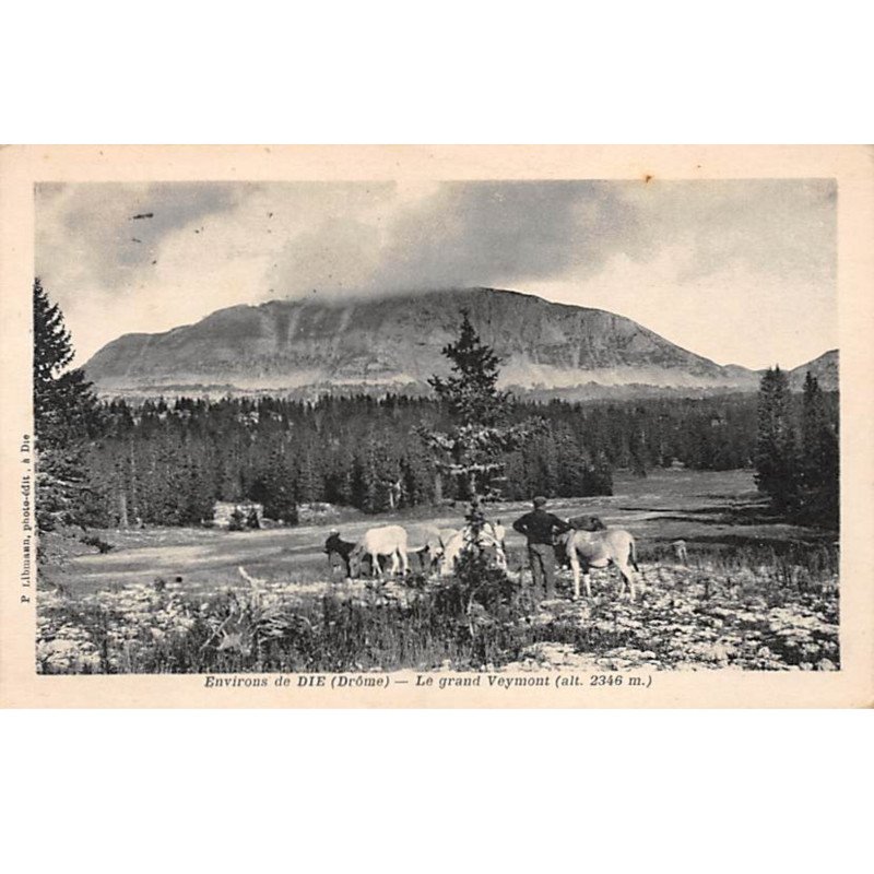 Environs de DIE - Le grand Veymont - très bon état