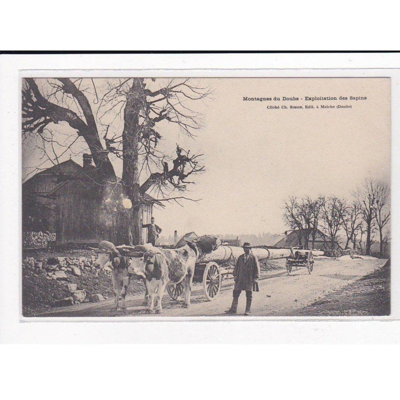 Montagnes du Doubs, Exploitation des Sapins - très bon état