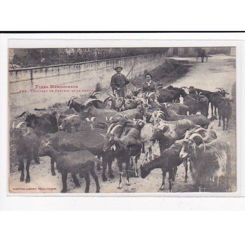 Types Pyrénéens : Troupeau de Chèvres et le Chévrier - très bon état