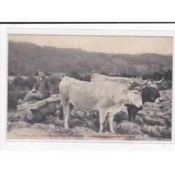 BAGNERES-DE-LUCHON : Cultivateur des environs de Luchon - très bon état