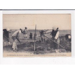 NOIRMOUTIER : La fabrication du bouza, Composé de paille et d'excrément de bestiaux, sert au chauffage - état