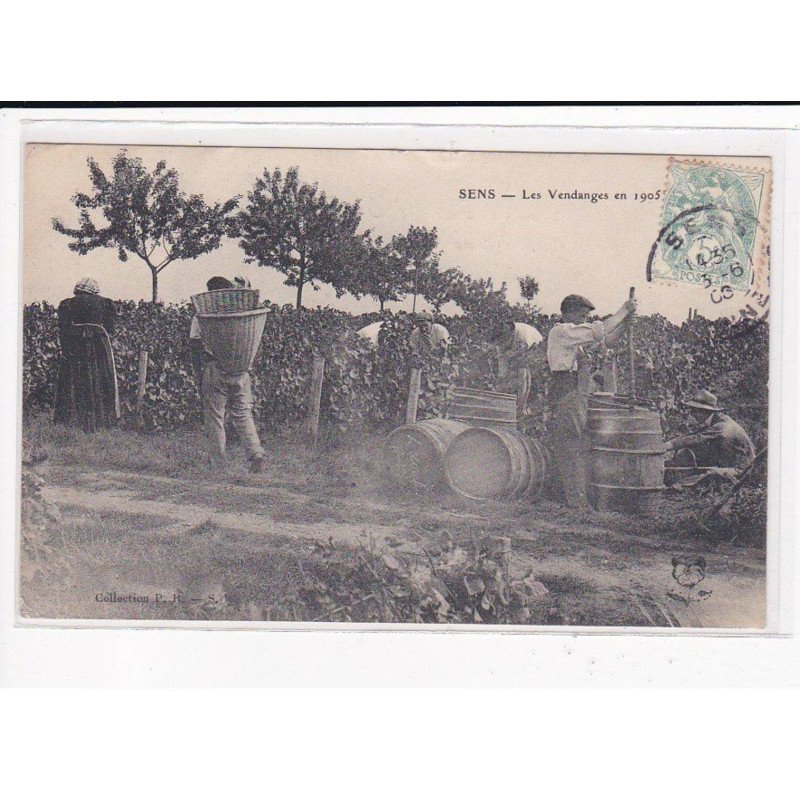 SENS : Les Vendanges en 1905 - très bon état