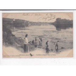 VILLENEUVE-SAINT-GEORGES : Cueillette d'algues dans la Seine - état