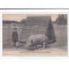 LUGOS : Procherie H.LAMOULY, Elevage en plein air, Verrat - très bon état