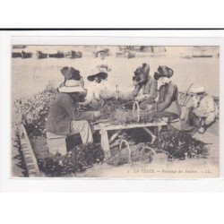 LA TESTE : Nettoyage des huîtres - très bon état