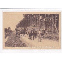 Dans les LANDES : Attelages de Mules transportant des Poteaux de Mine - très bon état