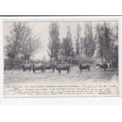 Dans la Crau, Toros de la Manade-de-l'Audience - très bon état