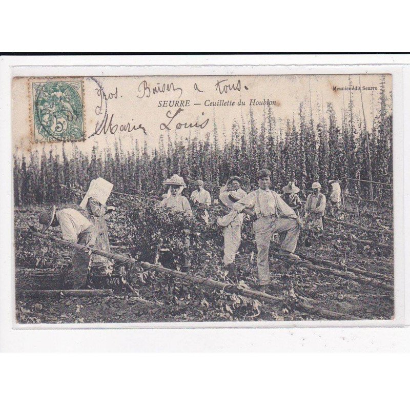 SEURRE : Cueillette du Houblon - très bon état