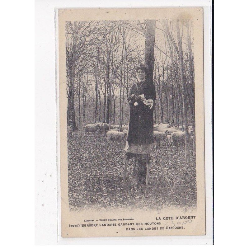 LA COTE D'ARGENT : Bergère landaise gardant ses Moutons dans les Landes de Gascogne - très bon état