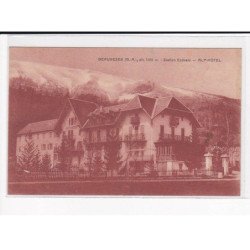 BEAUVEZER : Station estivale, Alp-Hôtel - très bon état