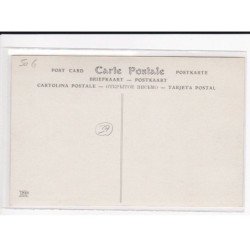 Semaine D'aviation de Touraine, CHATEAU, au biplan Zodiac - très bon état