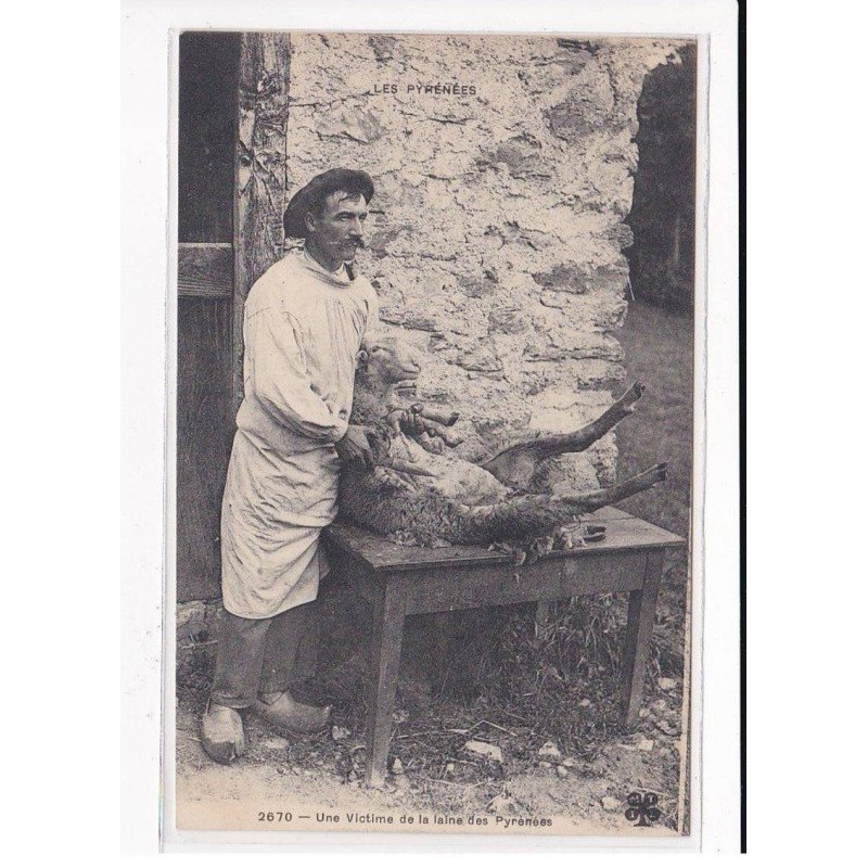 Les Pyrénées, Une victime de la laine des pyrénées - très bon état