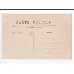 Les Pyrénées, Une victime de la laine des pyrénées - très bon état