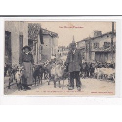 CAPVERN-les-BAINS : Chévrier Pyrénéen - très bon état