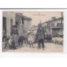 CAPVERN-les-BAINS : Chévrier Pyrénéen - très bon état