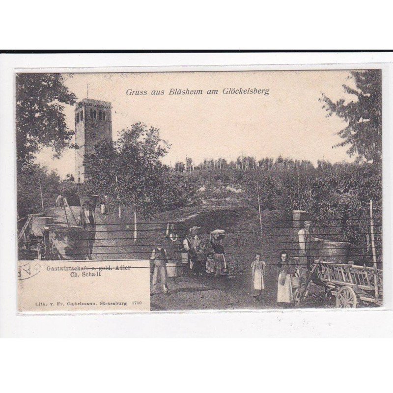 Gruss aus Bläsheim am Glöckelsberg, scène de vendanges - très bon état