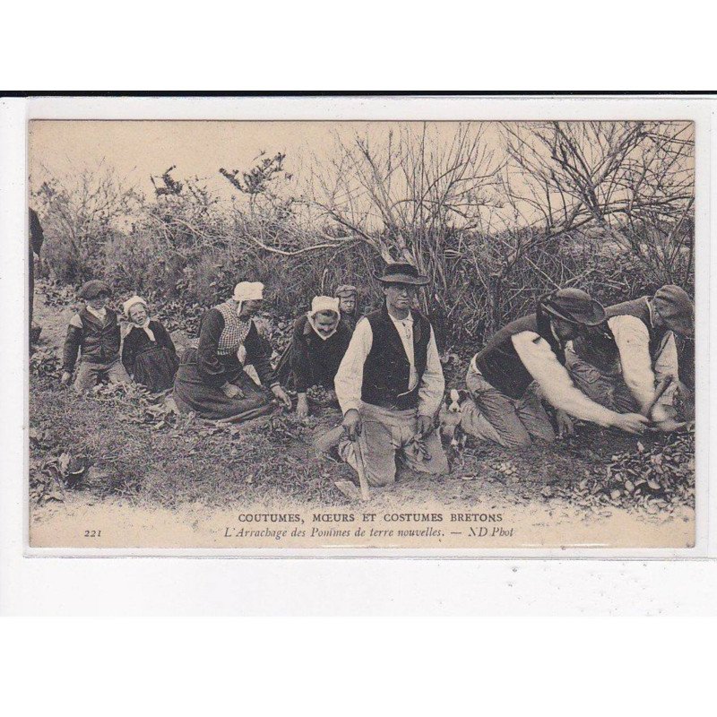 L'Arrachage des pommes de Terre Nouvelles, C.M.C.B - très bon état
