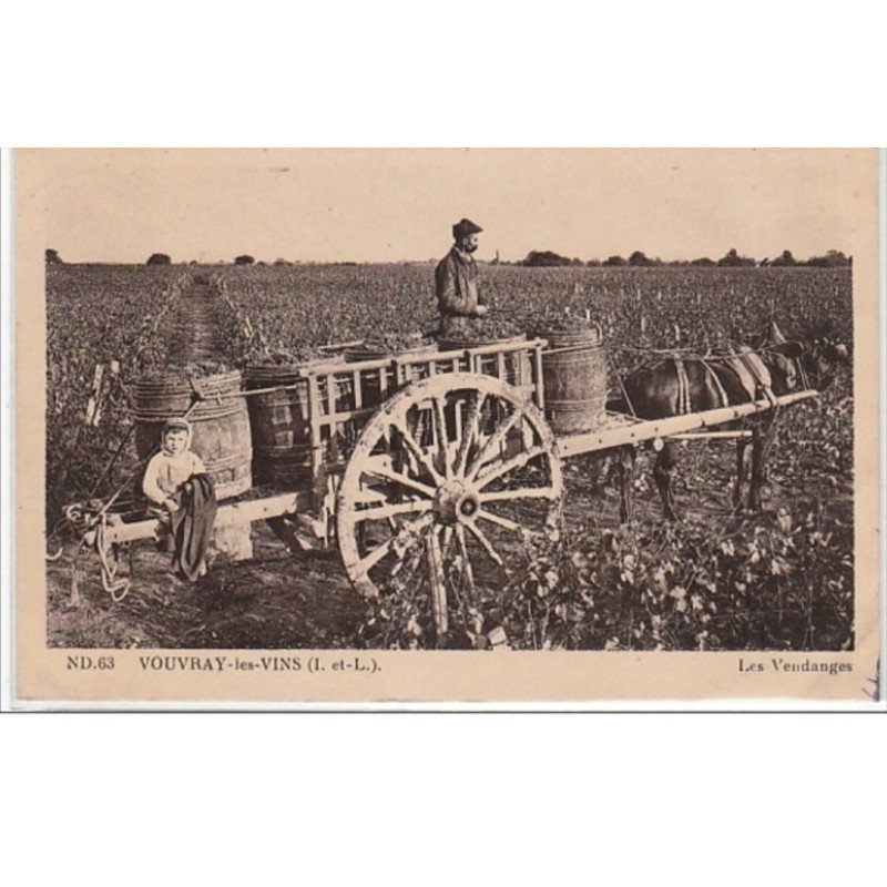 VOUVRAY LES VINS : scène de vendanges - bon état (un léger pli d'angle)