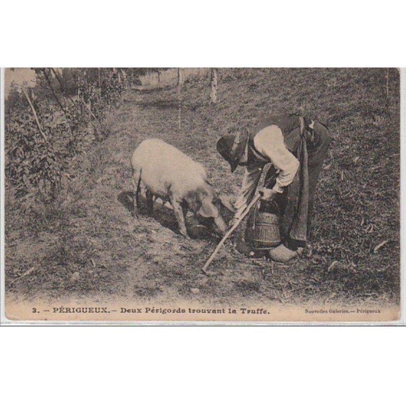 PERIGUEUX : deux périgords trouvant la truffe - bon état