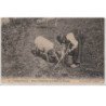 PERIGUEUX : deux périgords trouvant la truffe - bon état