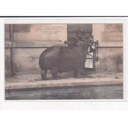 PARIS : Jardin des Plantes, l'Hippopotame Tako qui dévora son gardien le 17 juillet 1903 - très bon état