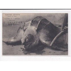 PARIS : Tortue géante pesant 350kg, propriétaire de ce Phénomène, Bouillon C.CHARTIER - très bon état