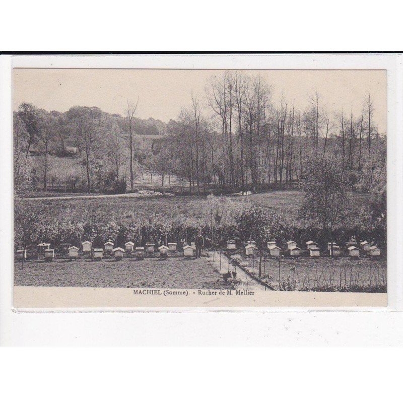 MACHIEL : Rucher de M.Mellier - très bon état