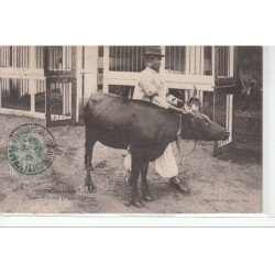 NOGENT SUR MARNE - Jardin colonial - race N'Dama (Fouta Djalon) - très bon état