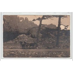 CORSE - CARTE PHOTO - très bon état