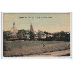 BREZOLLES : vue prise de la route de Fessanvilliers - CARTE TOILEE - très bon état