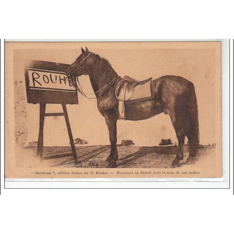 DURAS - Germinal, en liberté, écrit le nom de son maître - Docteur Rouhet - très bon état DURAS - Germinal, en liberté, écrit le nom de son maître - Docteur Rouhet - très bon état