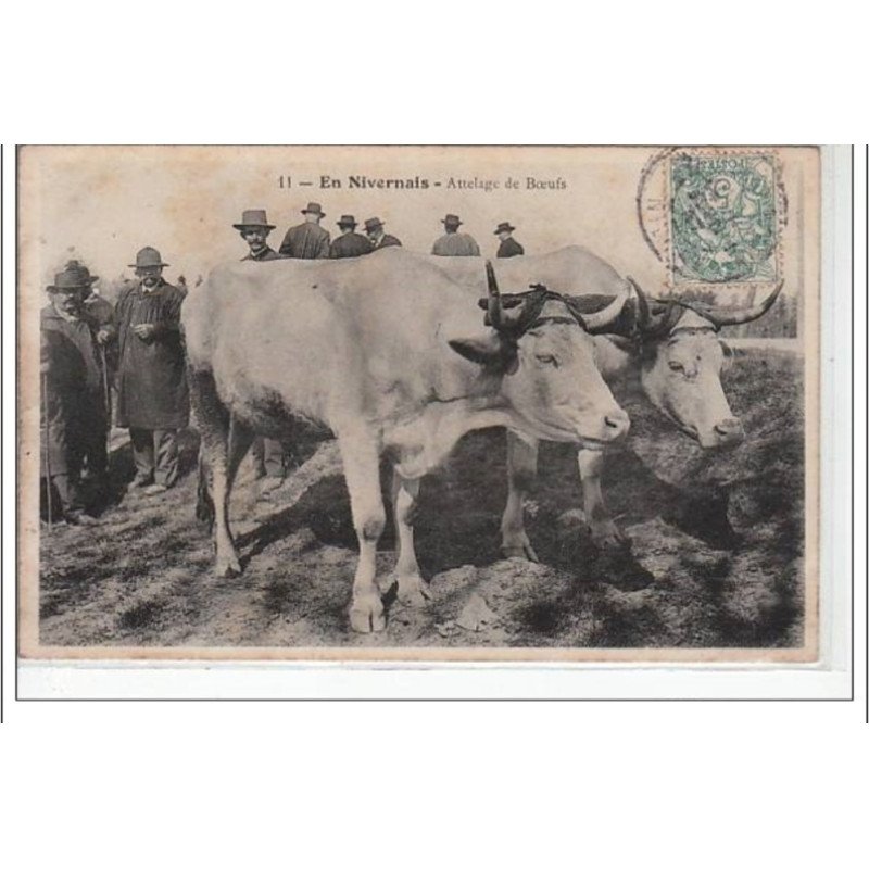 EN NIVERNAIS - Attelage de boeufs - état (traces)