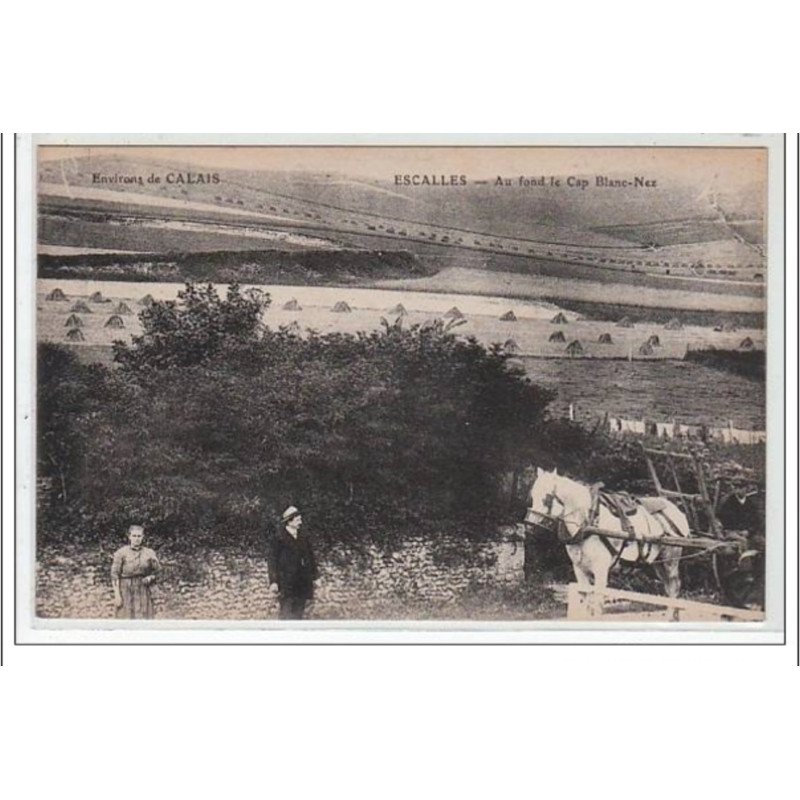 ESCALLES : au fond le Cap Blanc-Nez - environs de Calais -  très bon état
