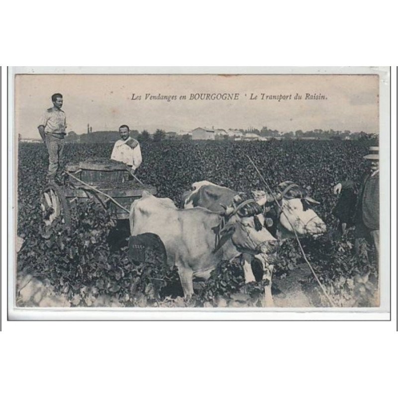 Les vendanges en Bourgogne - le transport du raisin - très bon état