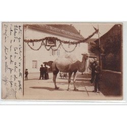 ORLEANS : carte photo d'un chameau lors du passage d'un cirque en 1908 - très bon état