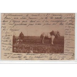 VILLENEUVE LE COMTE : carte photo d'une scène de labours en 1903 - très bon état
