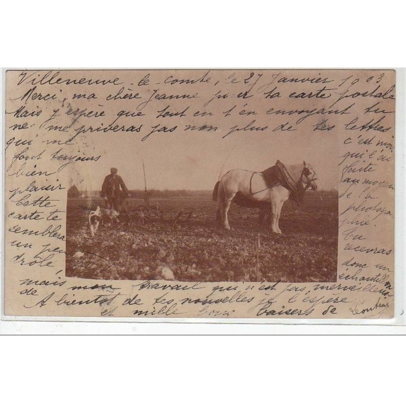 VILLENEUVE LE COMTE : carte photo d'une scène de labours en 1903 - très bon état VILLENEUVE LE COMTE : carte photo d'une scène de labours en 1903 - très bon état