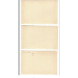 SERMIZELLES : lot de 3 photos format cpa du concours de pêche - très bon état