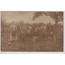 VERRIERES LE BUISSON : carte photo de la cueillette des fraises en 1908 - bon état (un coin plié)
