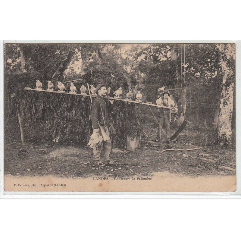 LANDES : chasseurs de palomnes - très bon état
